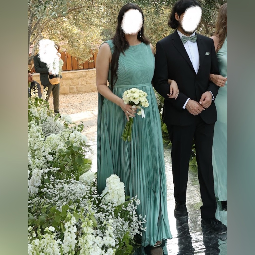 EUC Mac Duggal Sage Green Pleated Maxi Dress